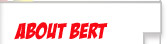 About Bert the Nerd
